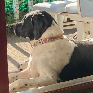 Meet your Posher, Rob